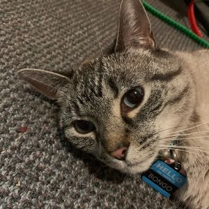 Meet your Posher, Madison